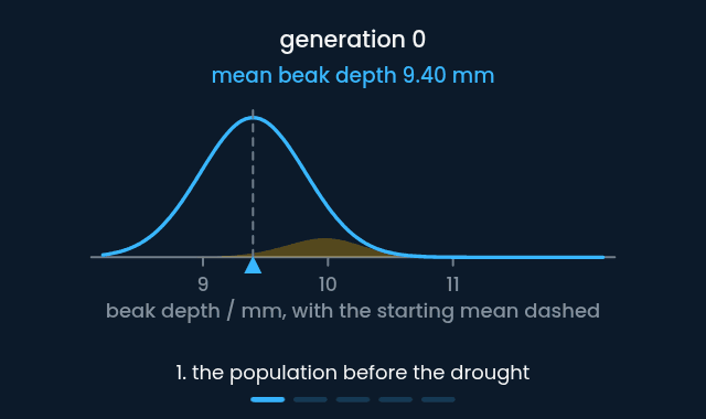 Directional selection shifting a beak depth distribution over five generations