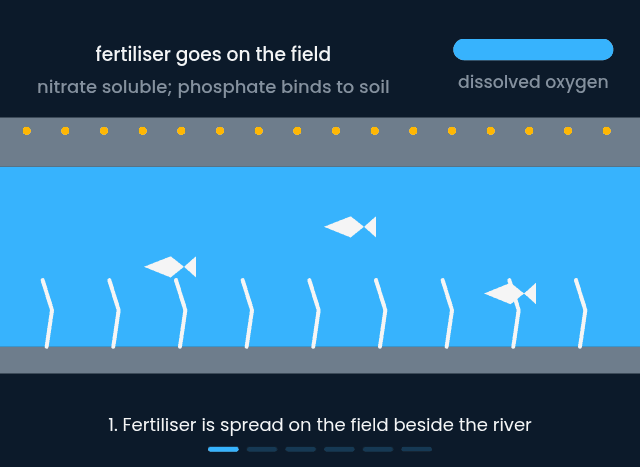 Eutrophication of a river, from fertiliser run-off to dead fish