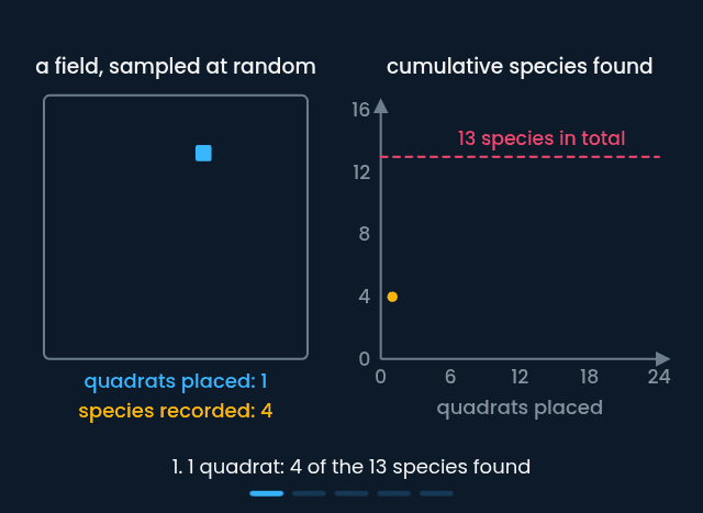 Random quadrats accumulating species until the count levels off