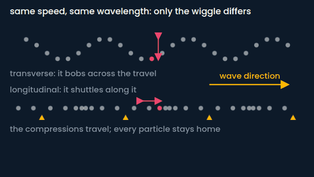 Longitudinal versus transverse (animated figure)