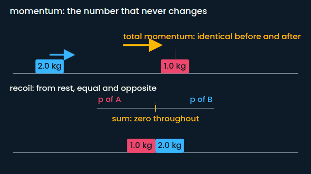 Momentum: collision and recoil (animated figure)