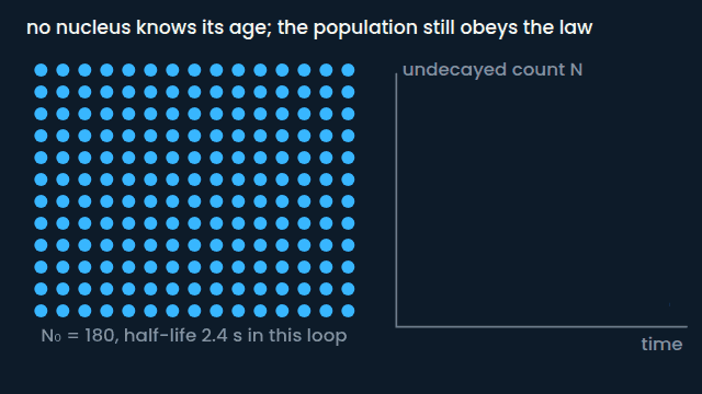 A hundred and eighty identical nuclei. Each decays at a random, unpredictable moment; watch any one and you learn nothing about when. Yet the count of survivors rides the smooth exponential, halving every half-life: 180, 90, 45, 23. The law belongs to the crowd, not to any nucleus in it.
