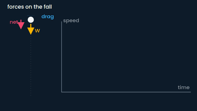 Terminal velocity, twice over (animated figure)